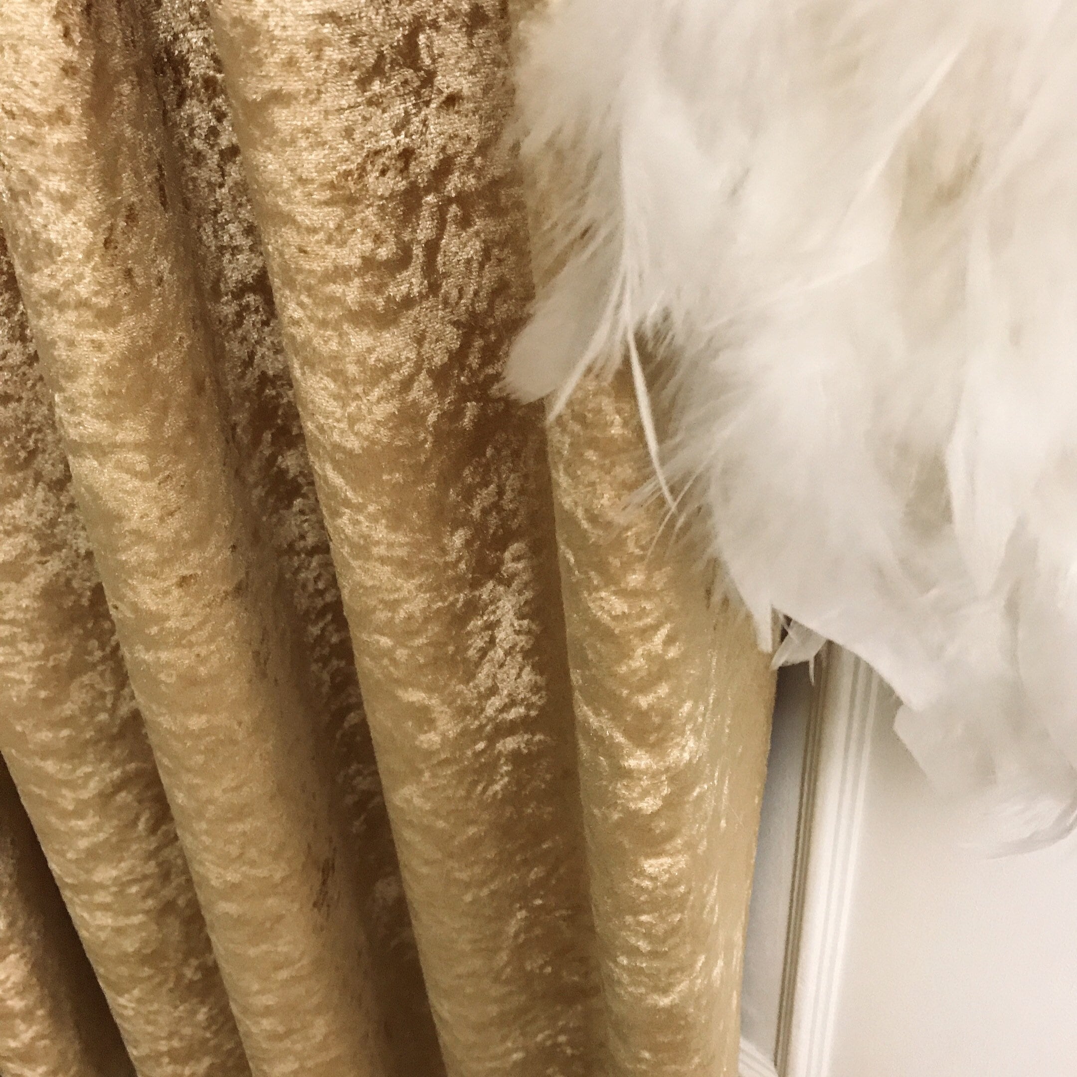 Glam Gold Subtle Gloss Velvet Curtain