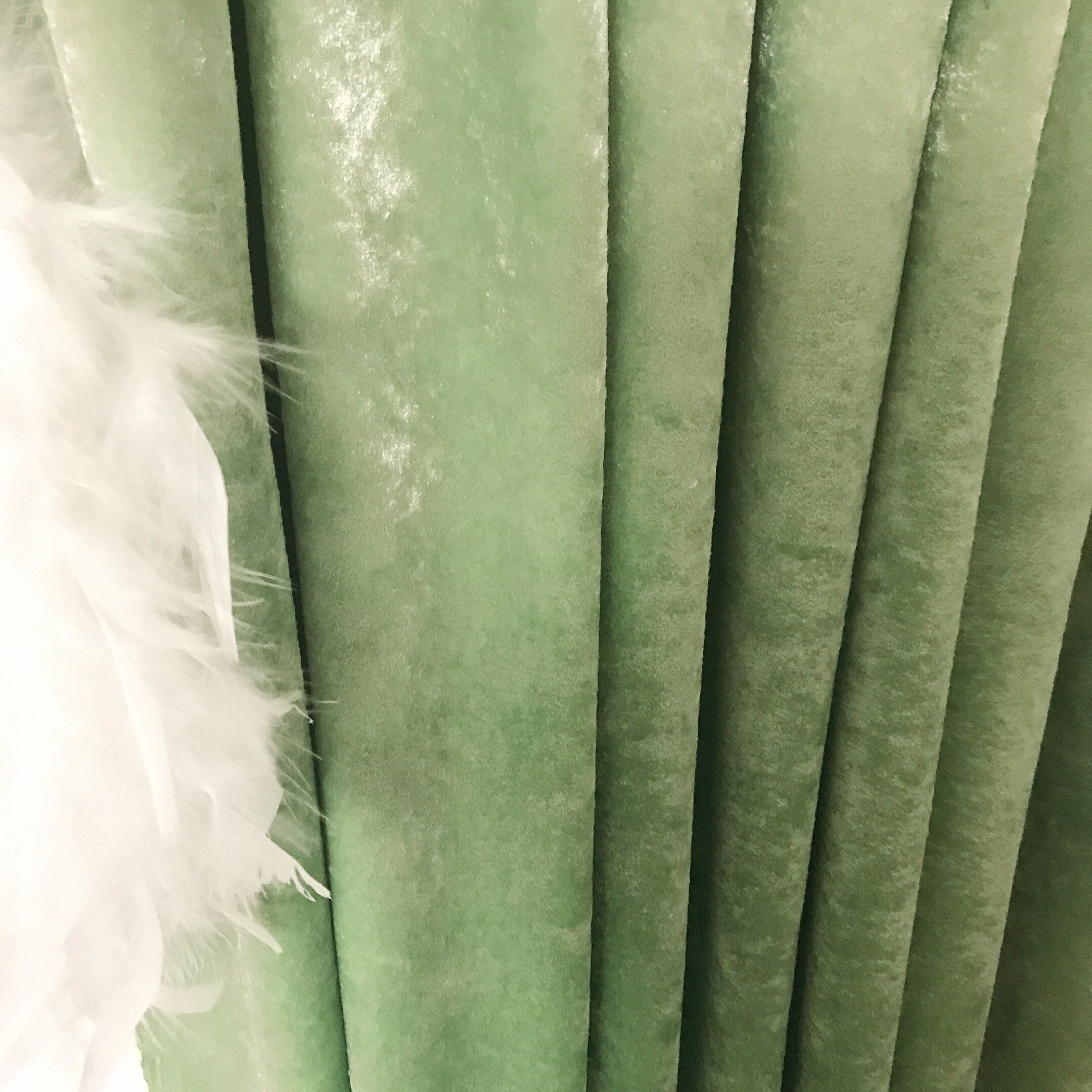 Pea Green Velvet Curtain with Subtle Gloss