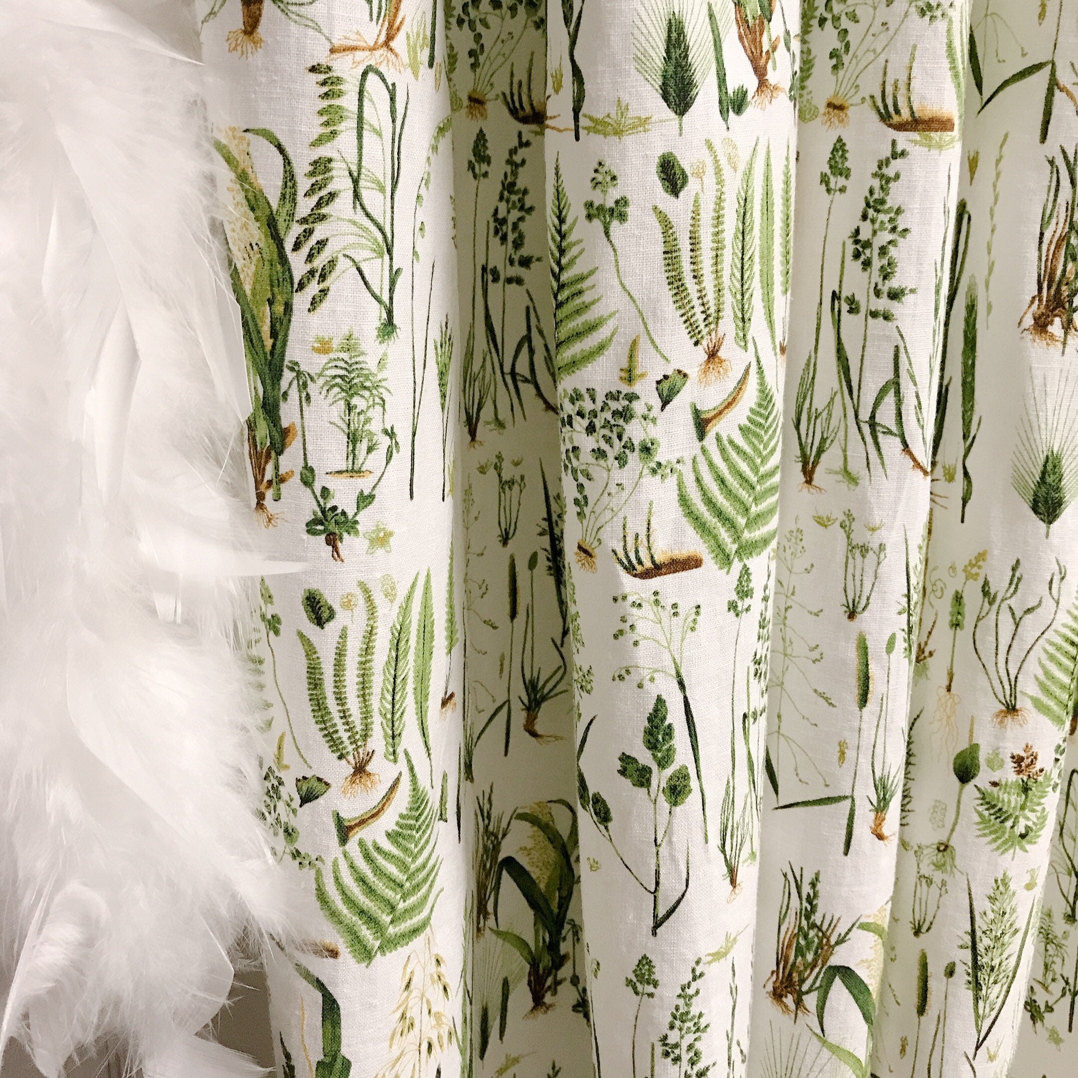 Green Plants Curtain on White