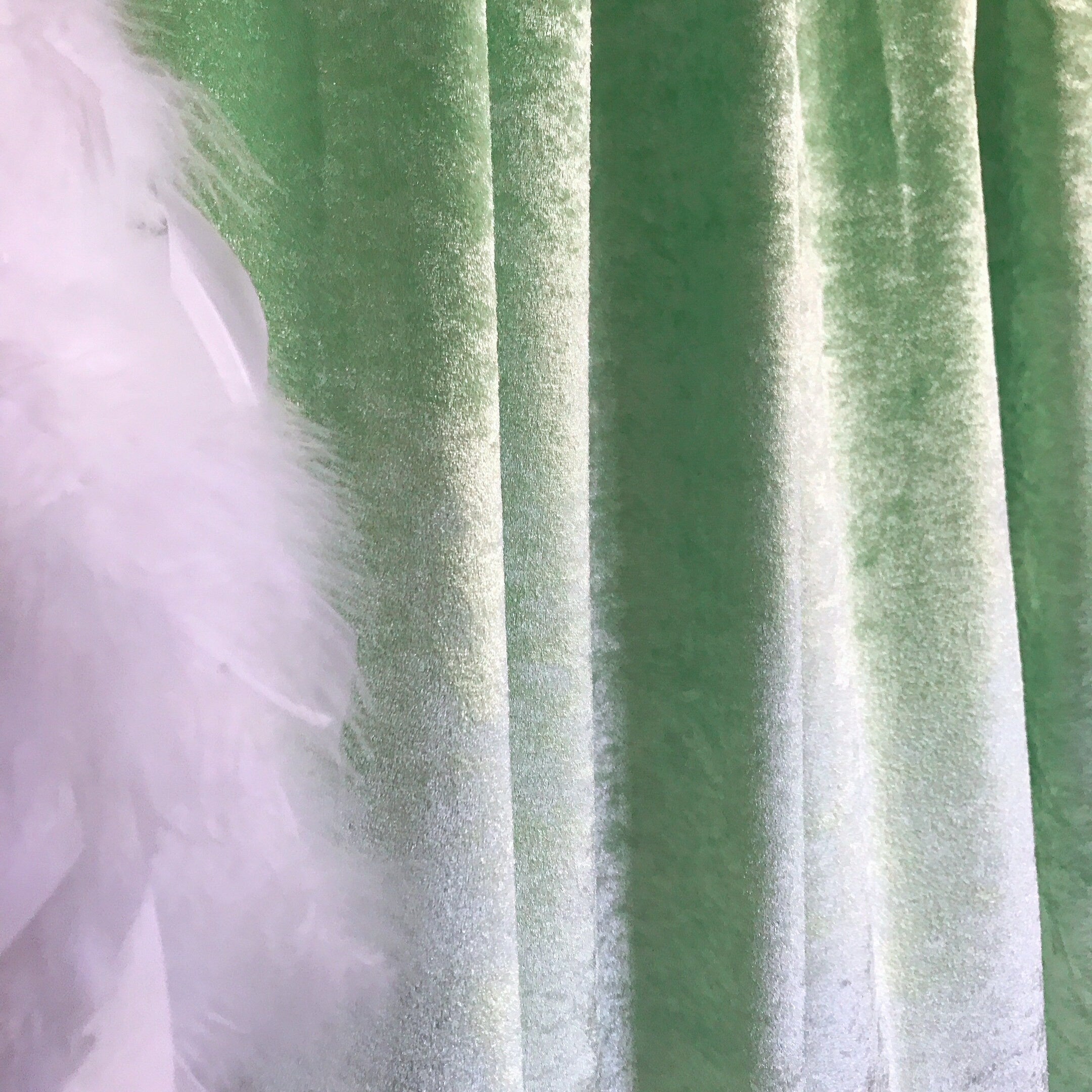 Pea Green Velvet Curtain with Subtle Gloss