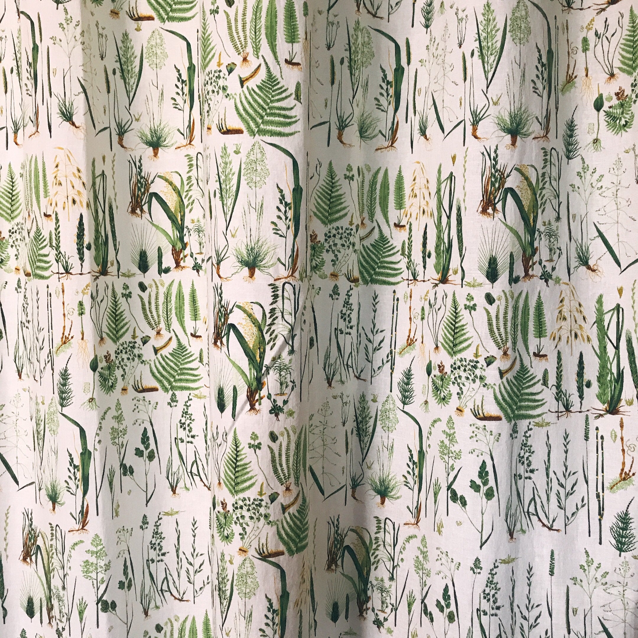 Green Plants Curtain on White