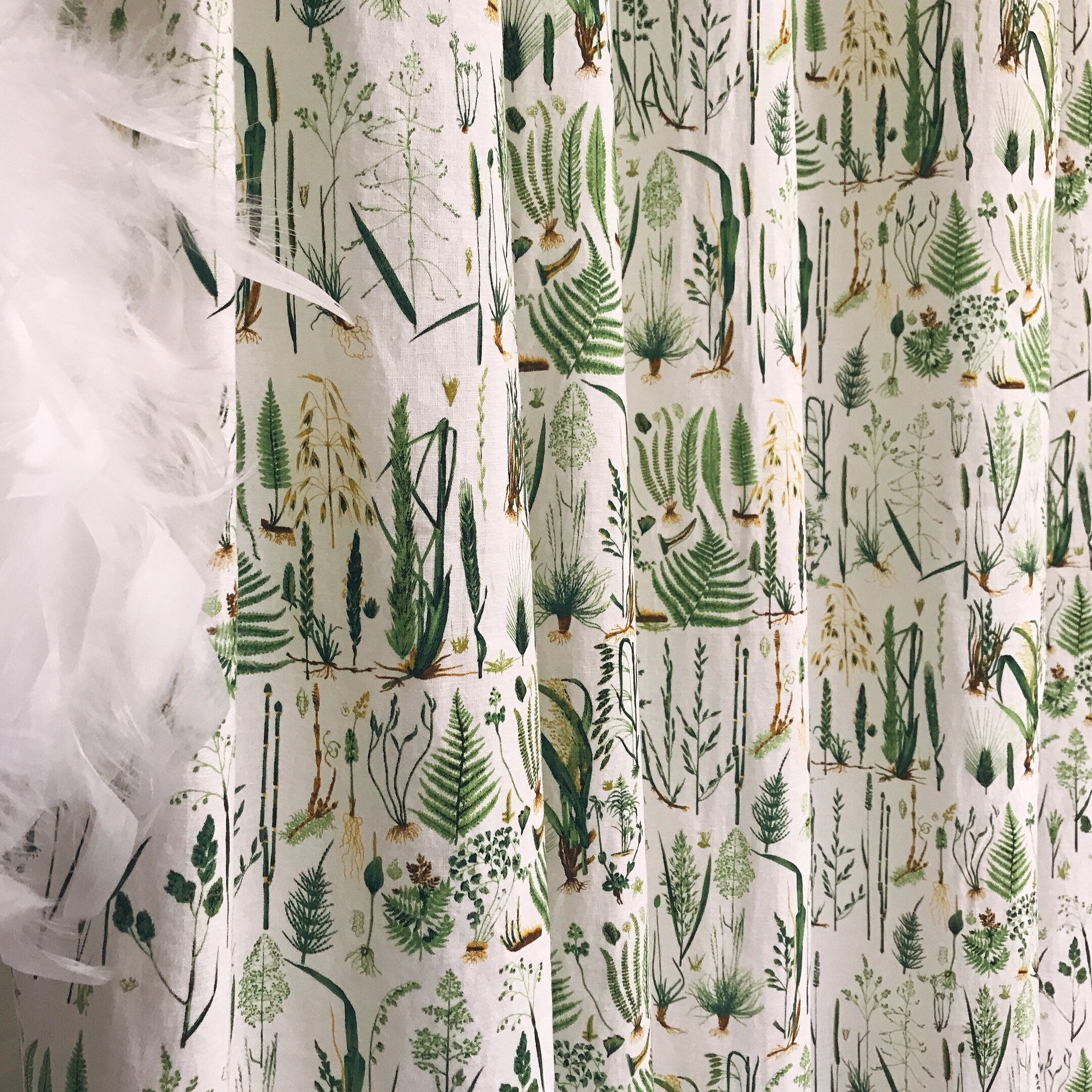 Green Plants Curtain on White