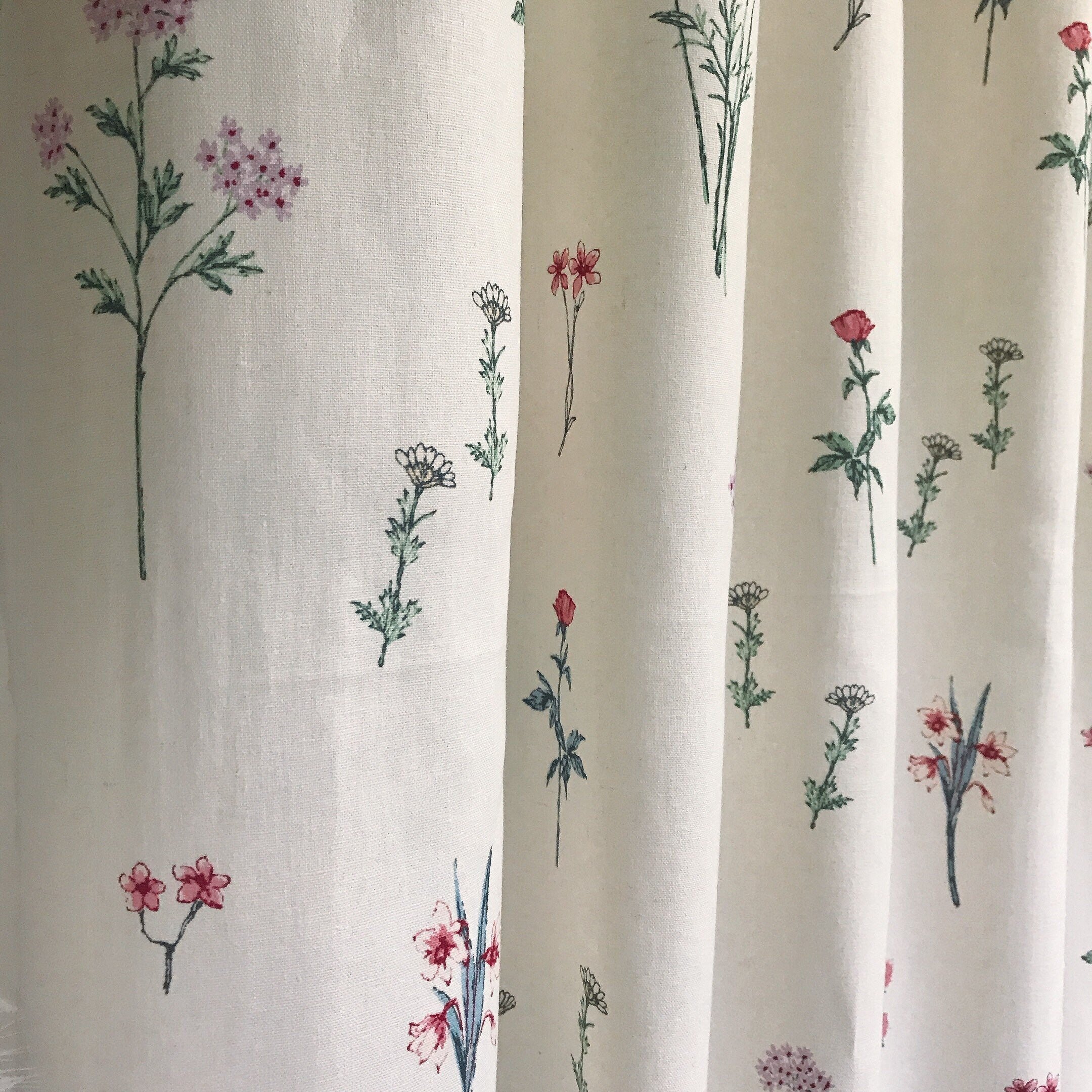 Multicolor Wild Floral Curtain on Ivory