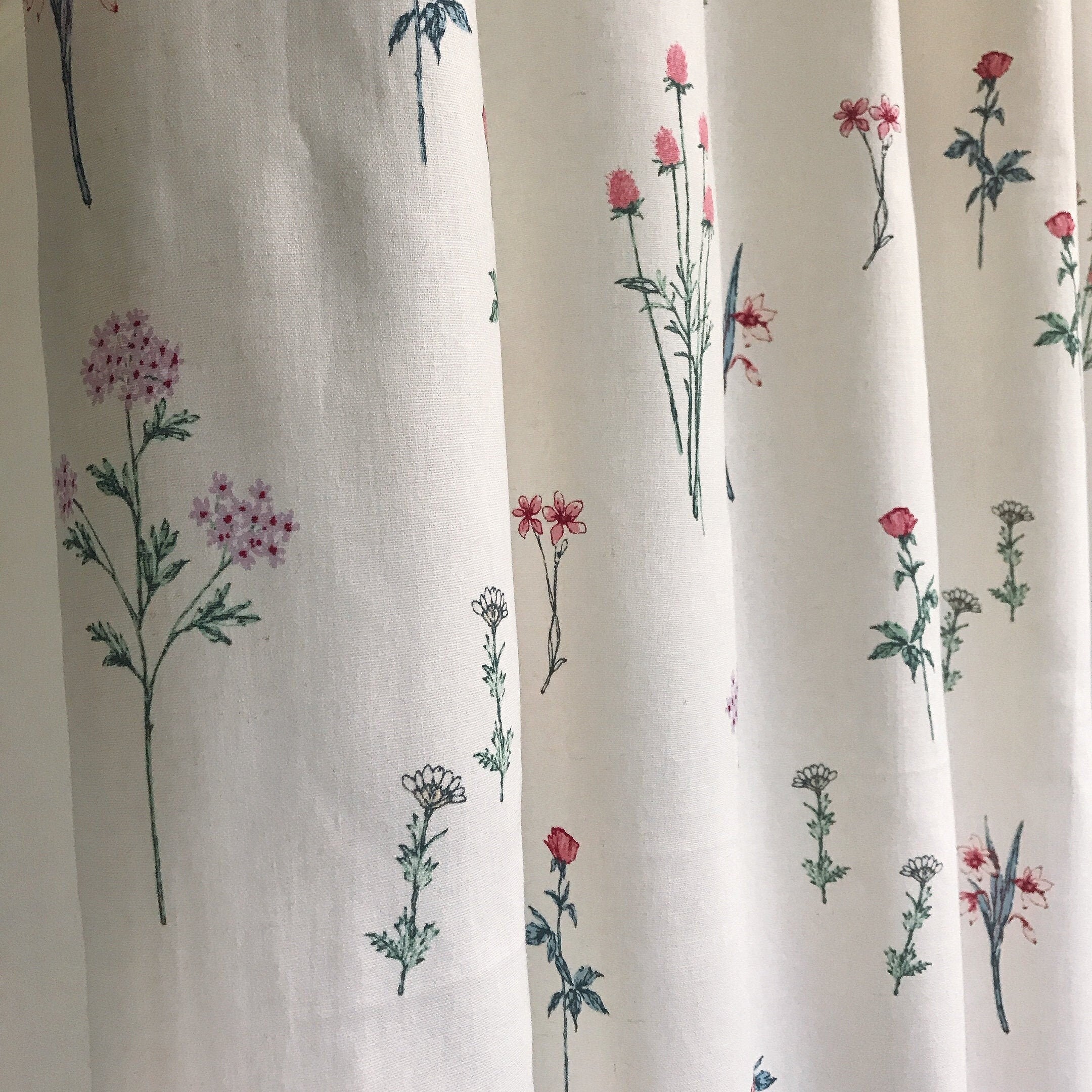Multicolor Wild Floral Curtain on Ivory