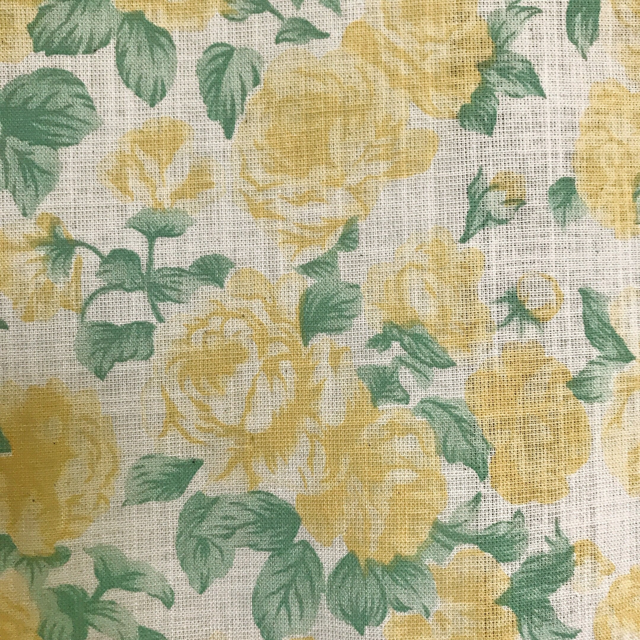 Yellow Roses Curtain on Natural Beige