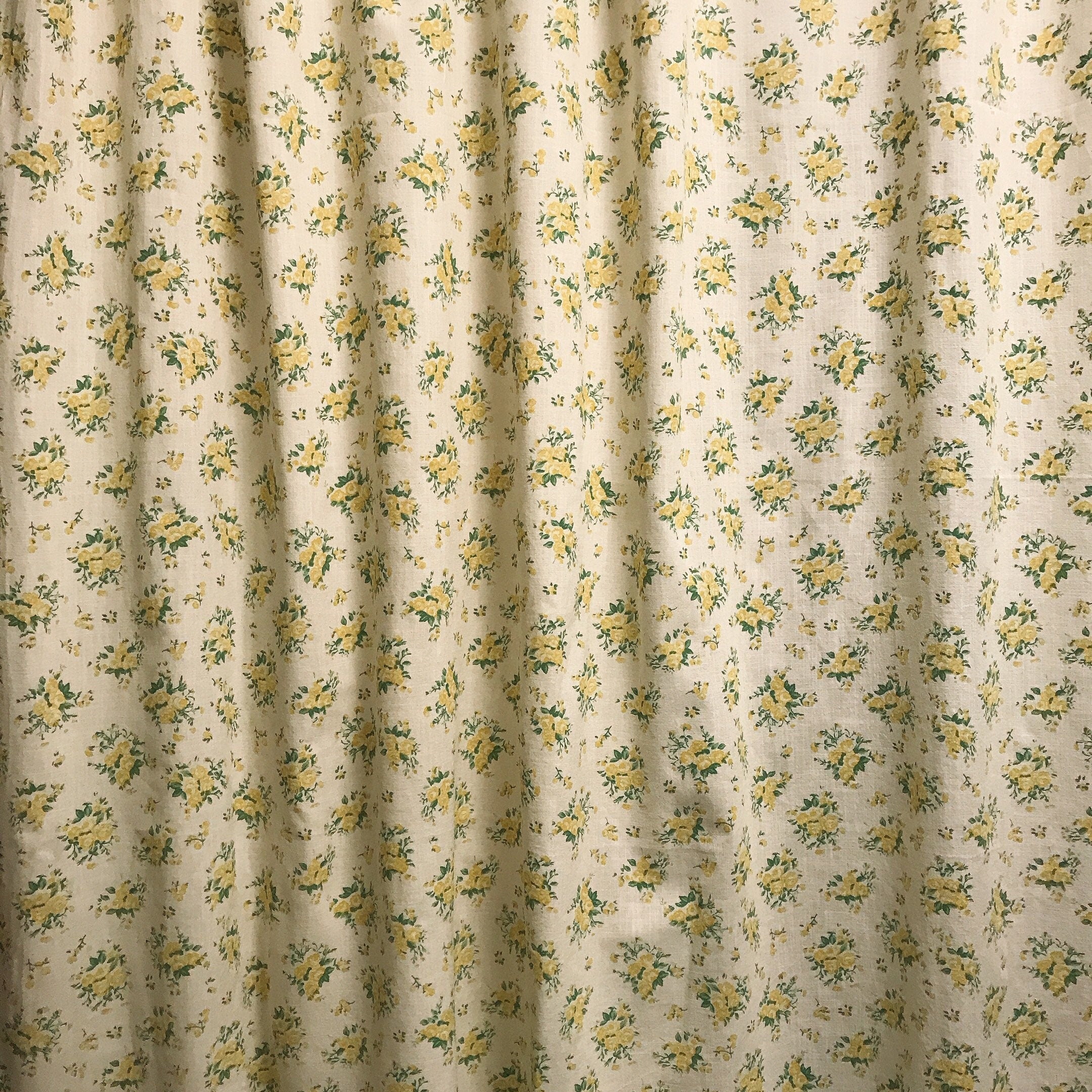 Yellow Roses Green Leaves on Natural Beige