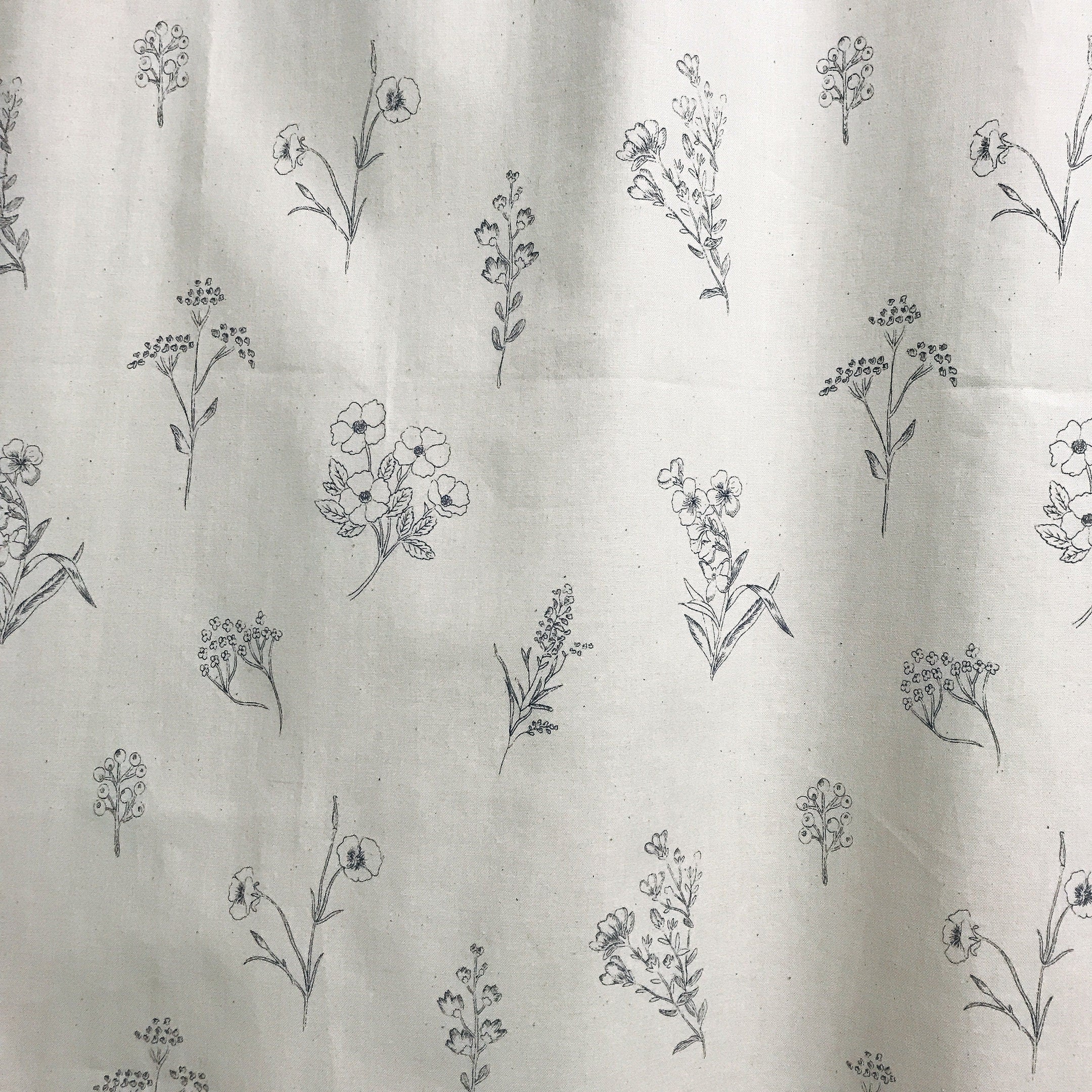 Botanical Sketches Curtain on Natural Beige