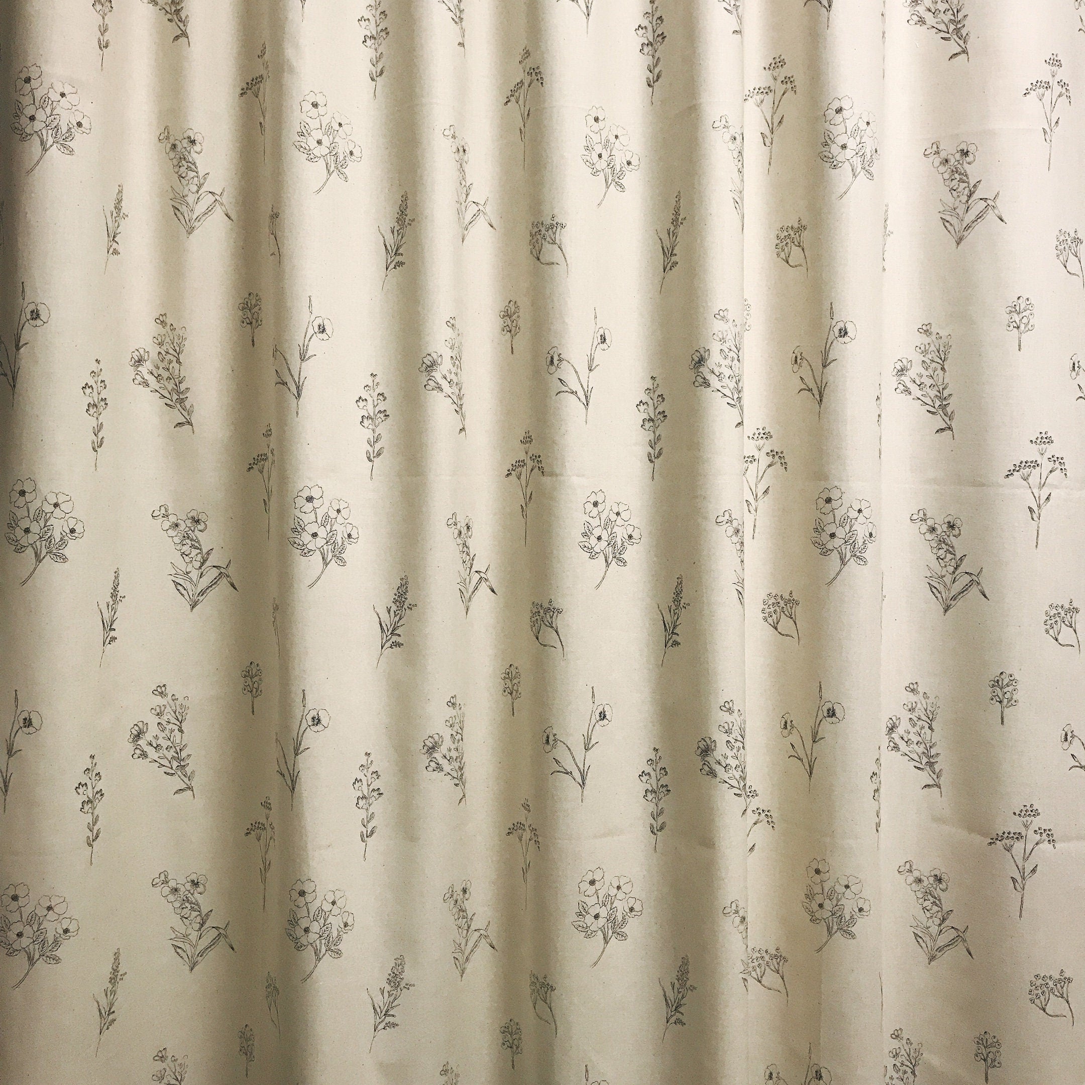 Botanical Sketches Curtain on Natural Beige