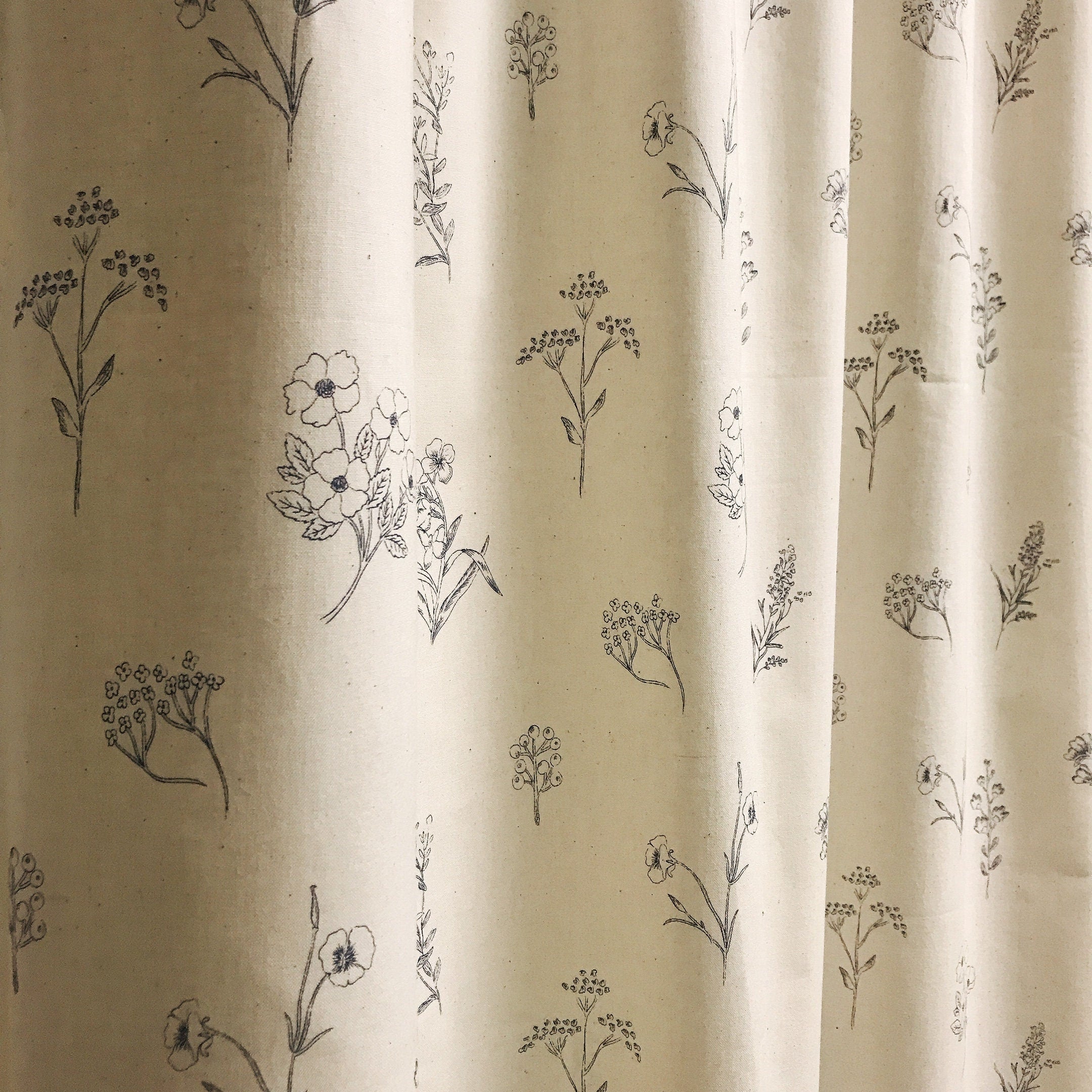 Botanical Sketches Curtain on Natural Beige