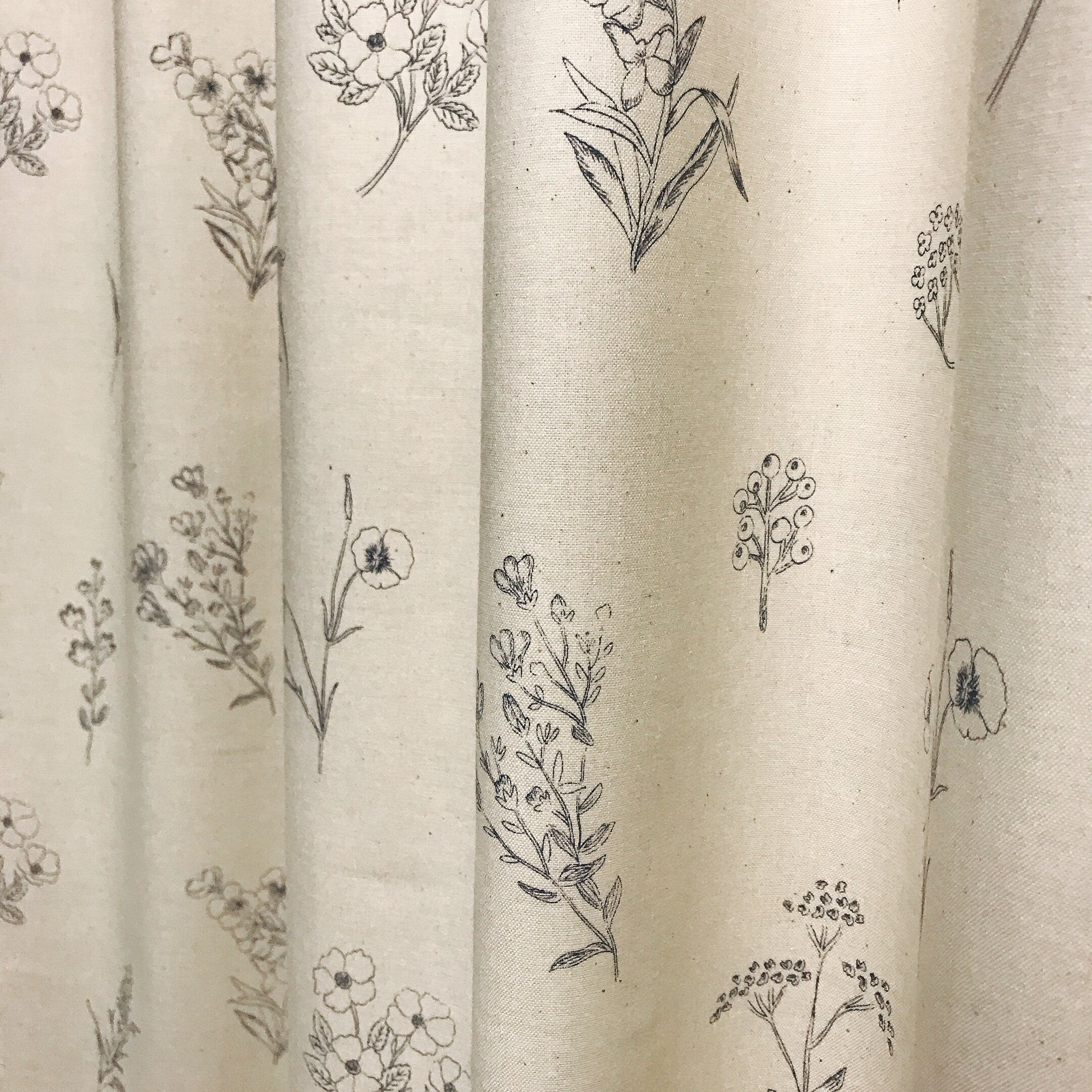 Botanical Sketches Curtain on Natural Beige