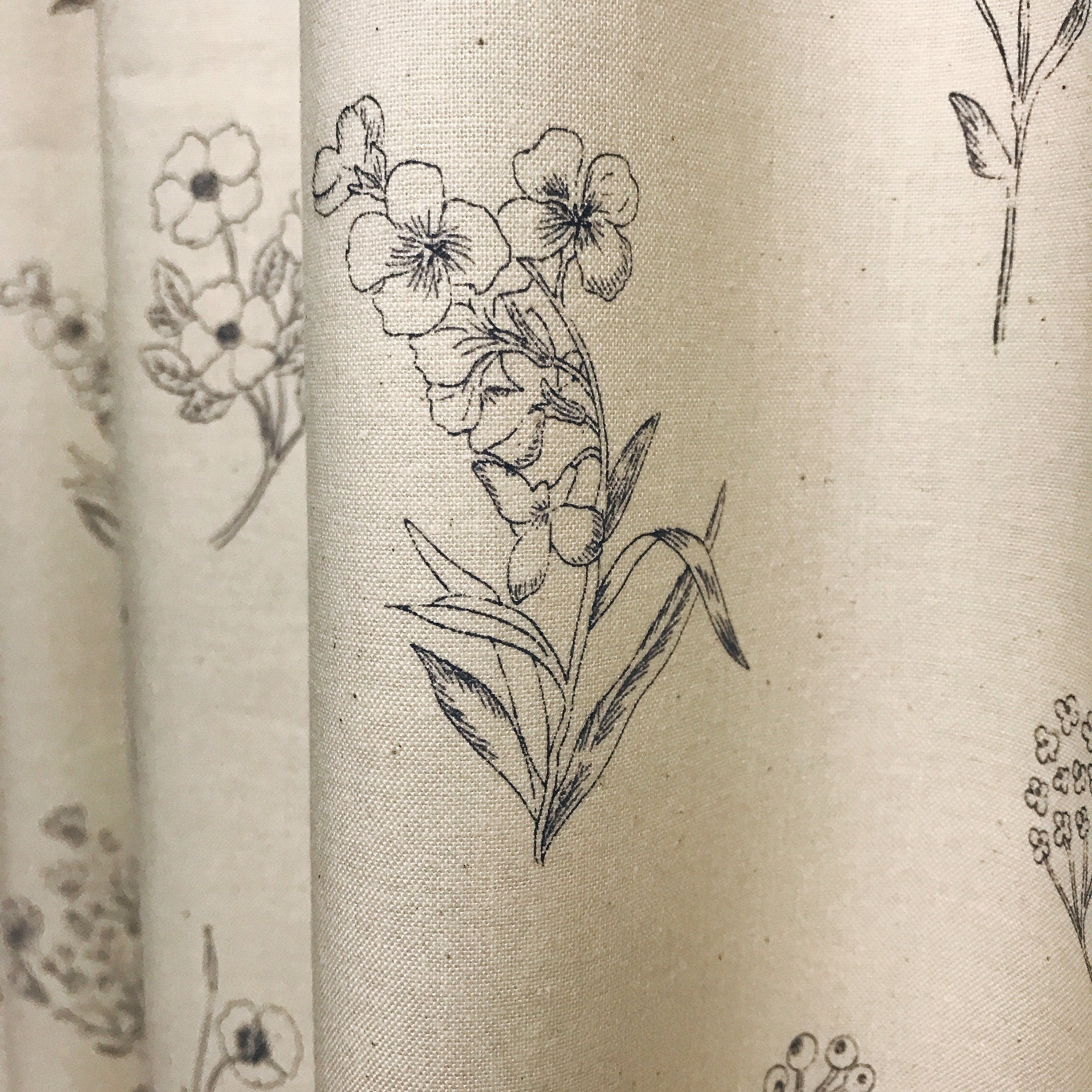 Botanical Sketches Curtain on Natural Beige