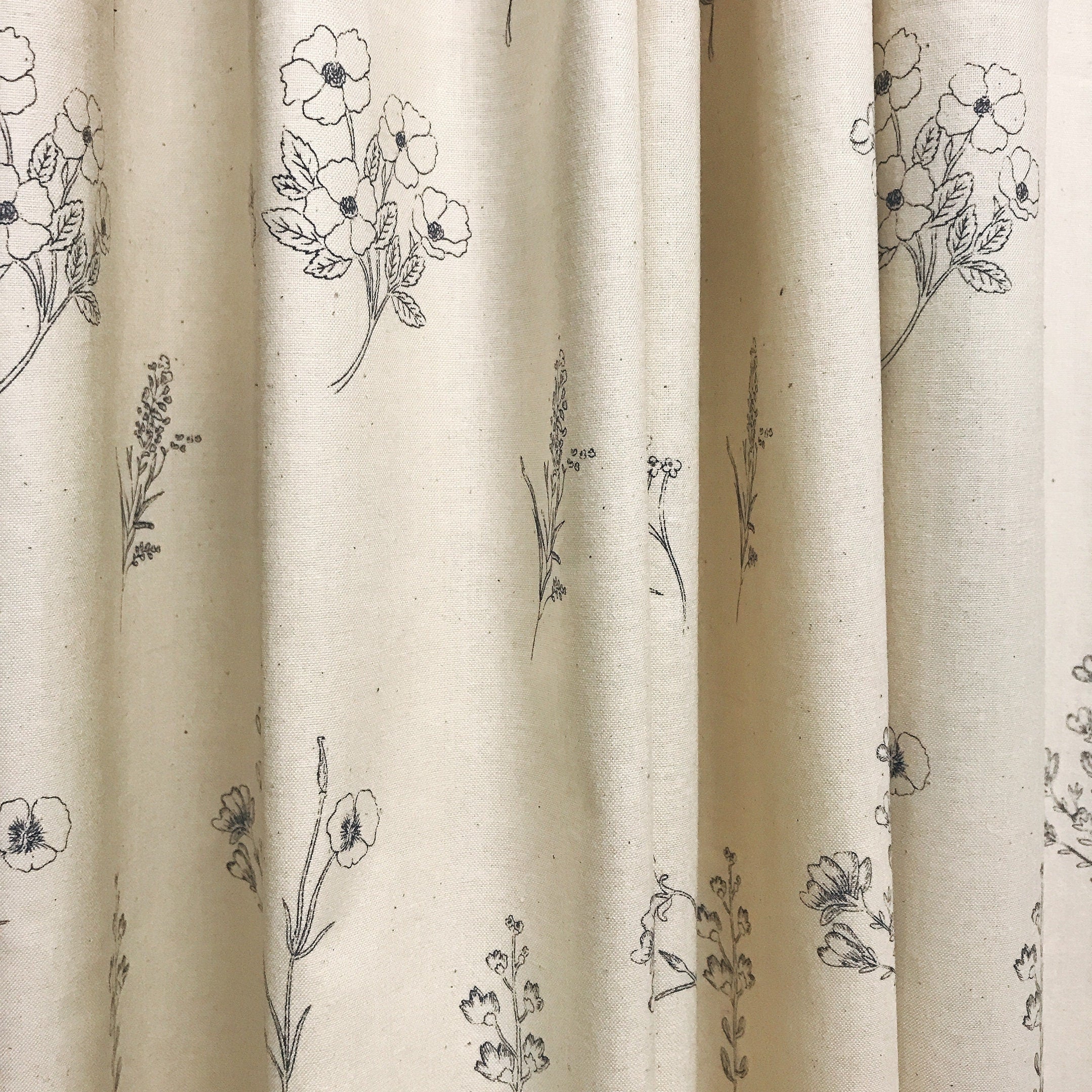 Botanical Sketches Curtain on Natural Beige