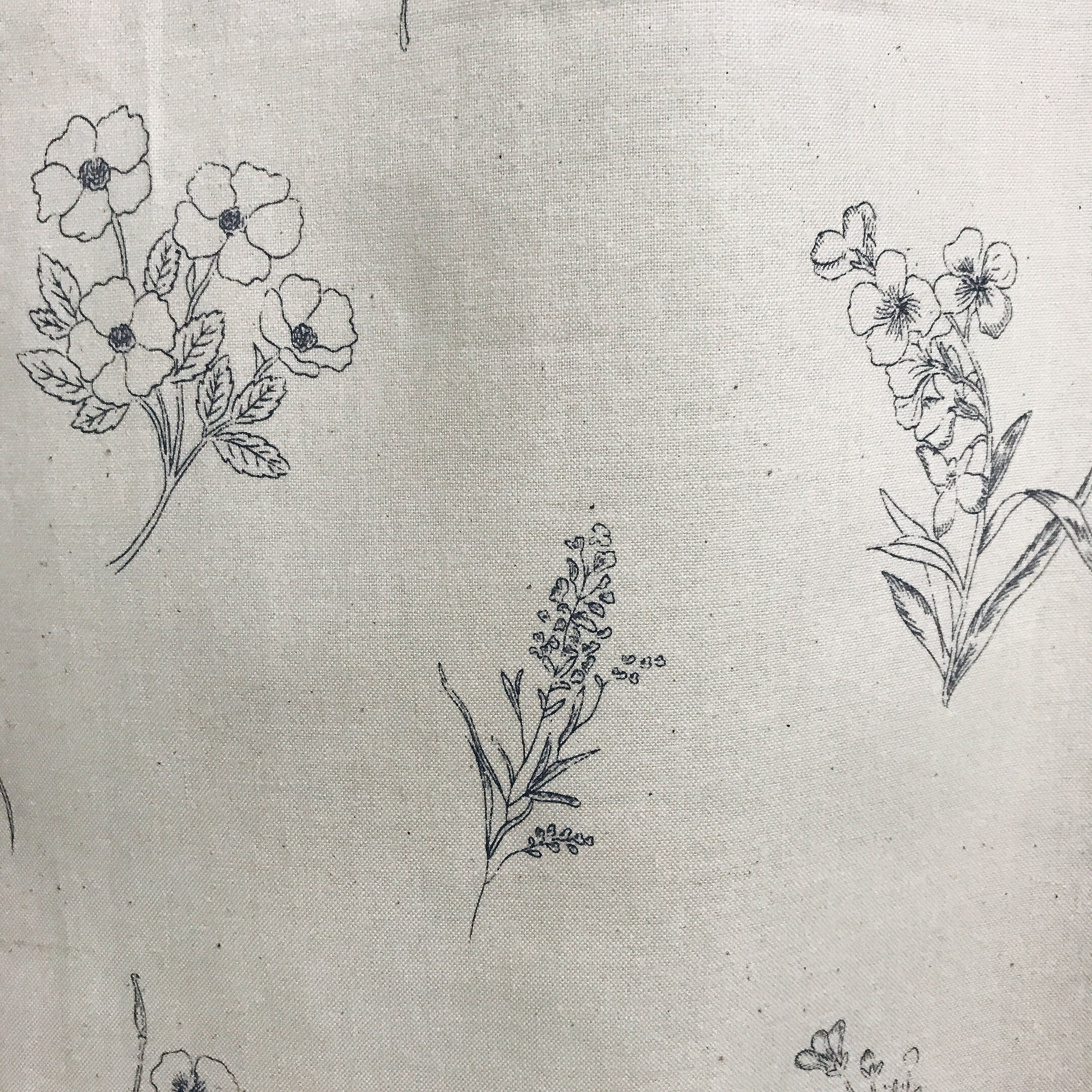 Botanical Sketches Curtain on Natural Beige