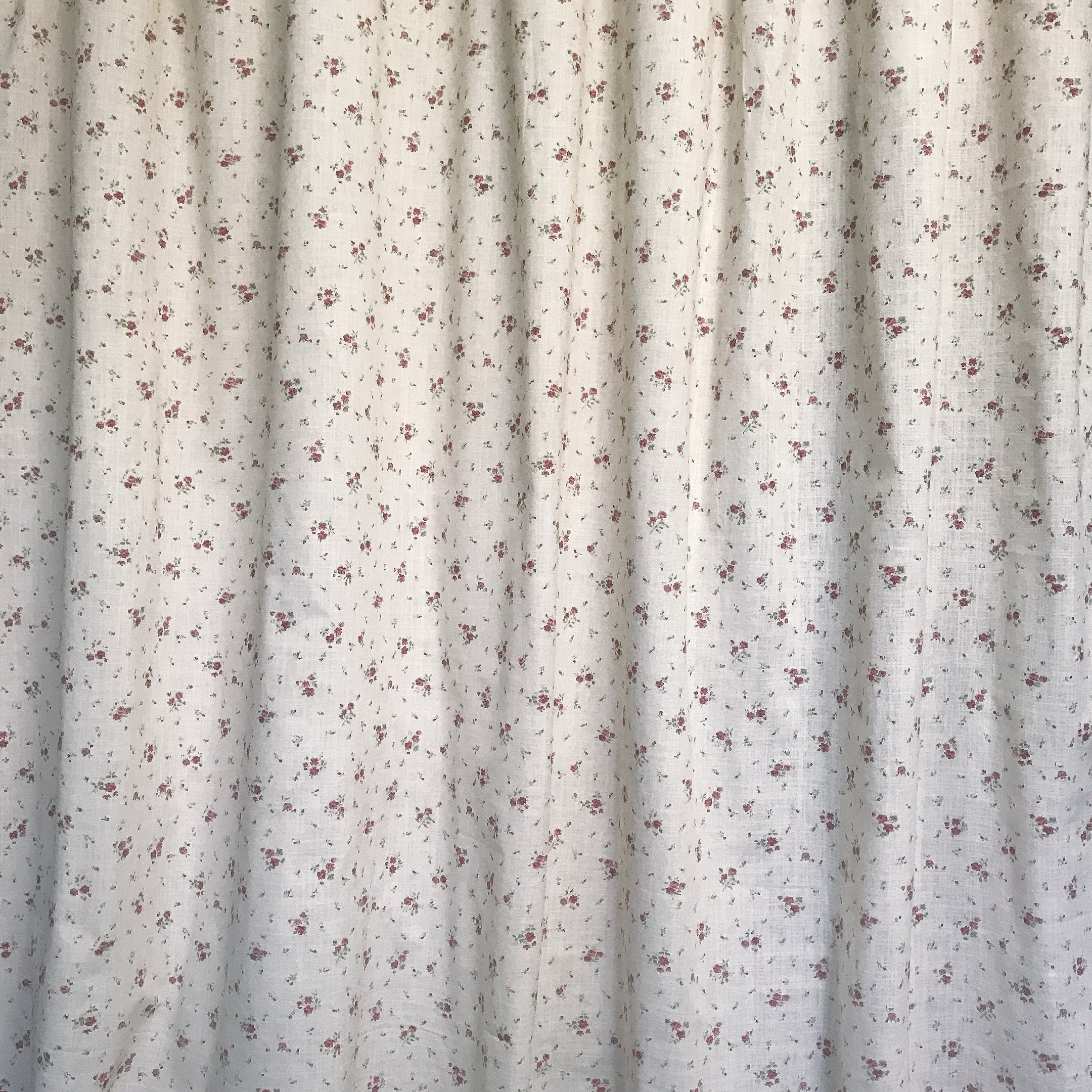 Soft Burgundy Floral Curtain on Natural Beige