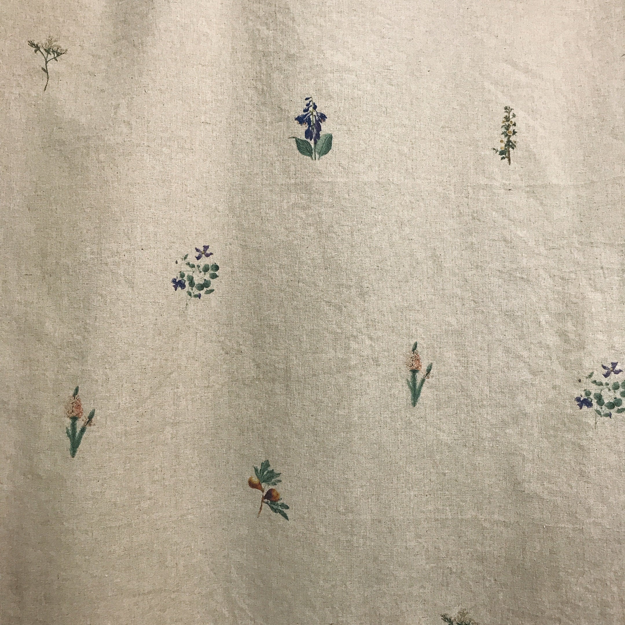 Subtle Botanical Curtain on Natural Beige