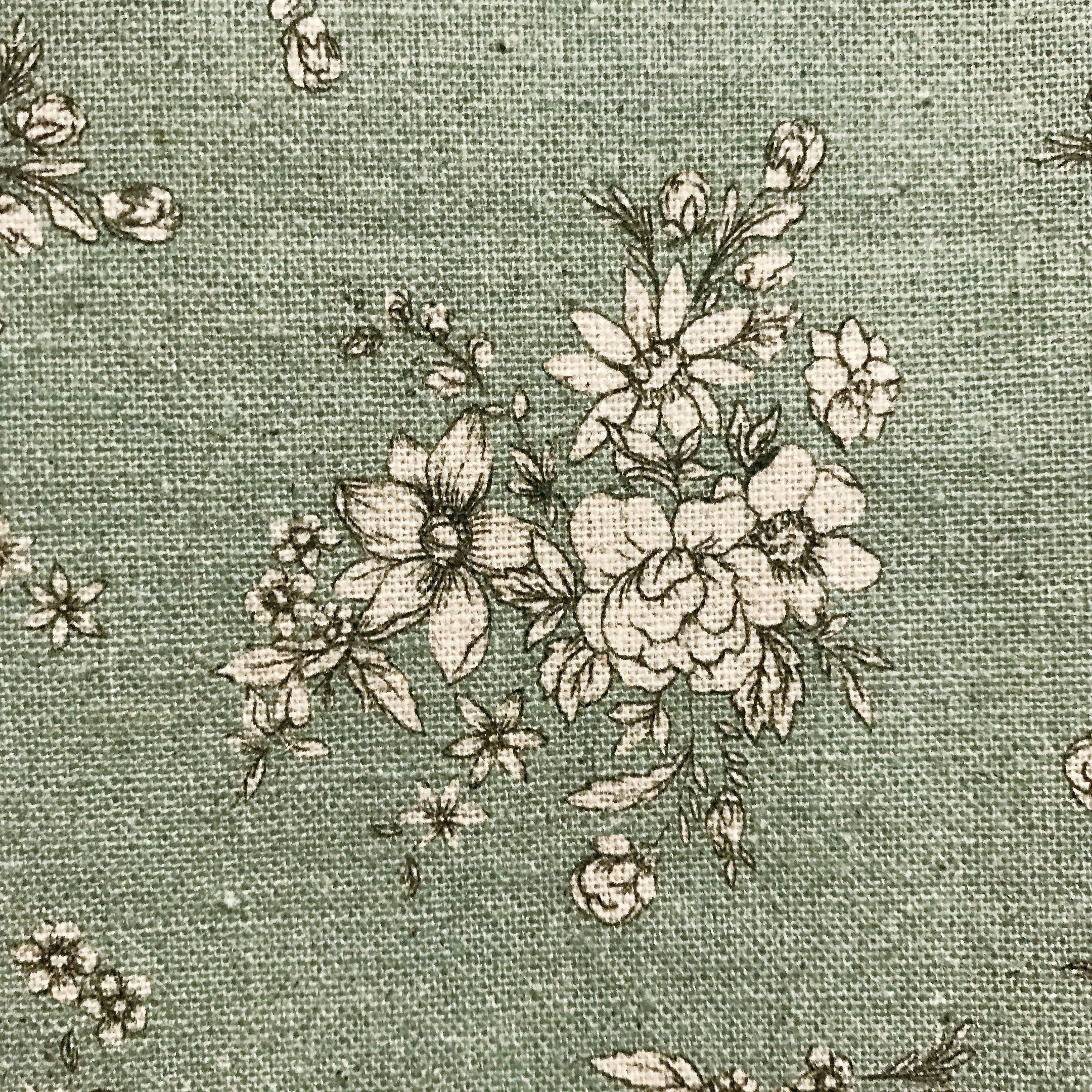 Natural Beige Floral Curtain on Sage Green