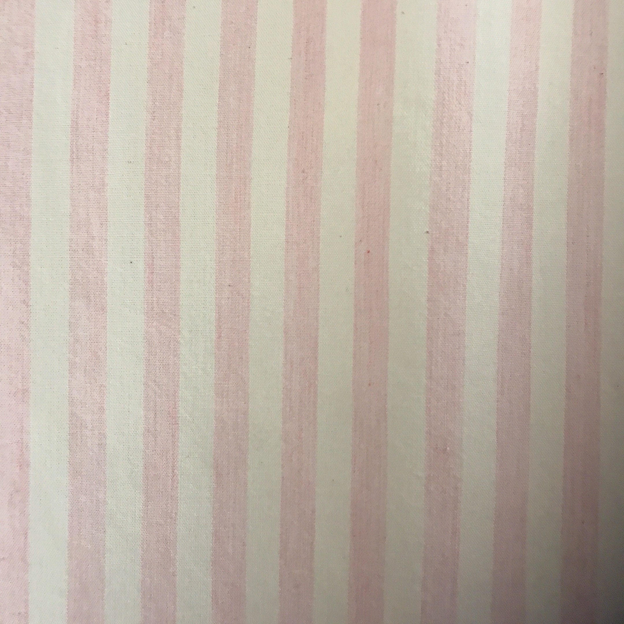 Light Pink Stripe Curtain on Ivory