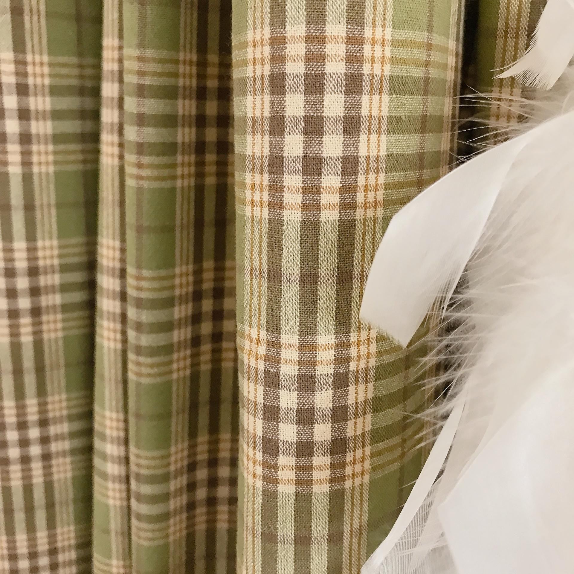 Brown and Mustard Plaid Curtain on Olive Green