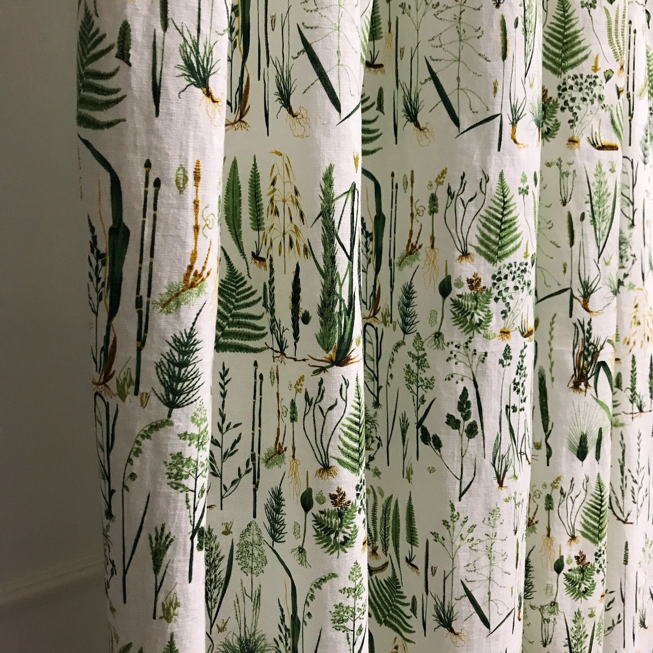 Green Plants Curtain on White