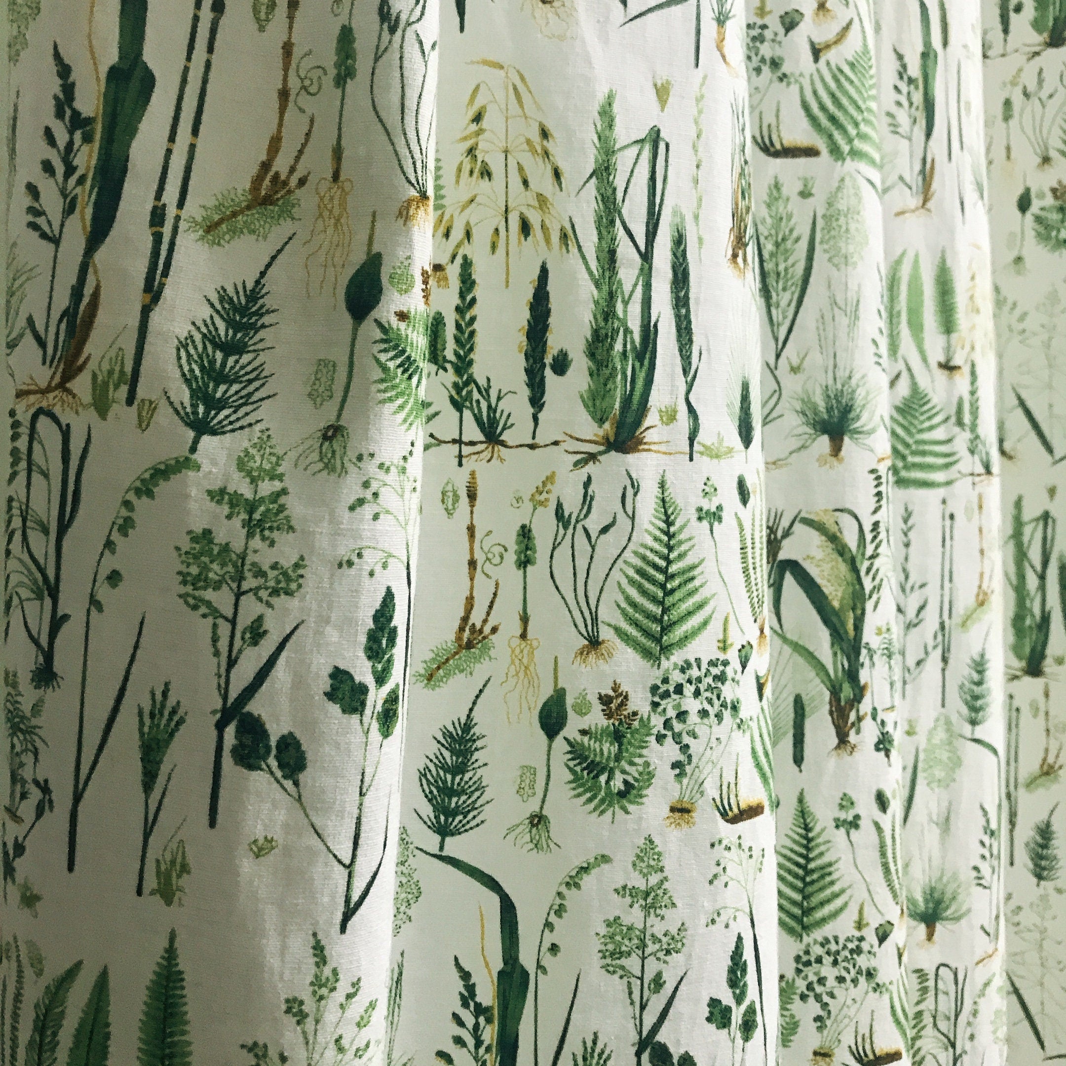 Green Plants Curtain on White