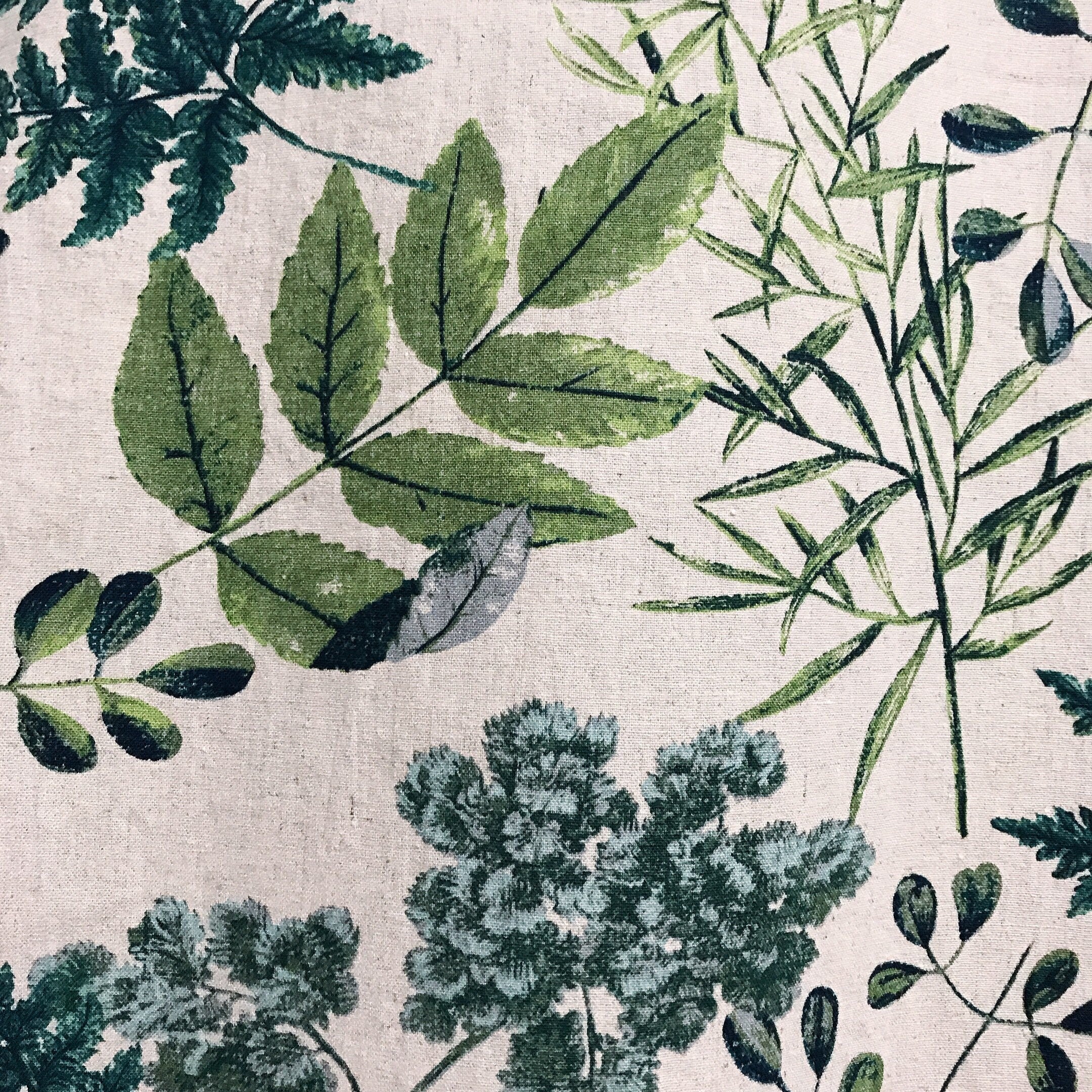 Green Leaf Curtain on Natural Beige